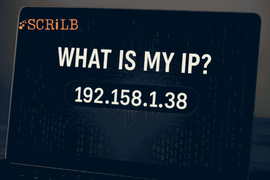 What Is an IP Address